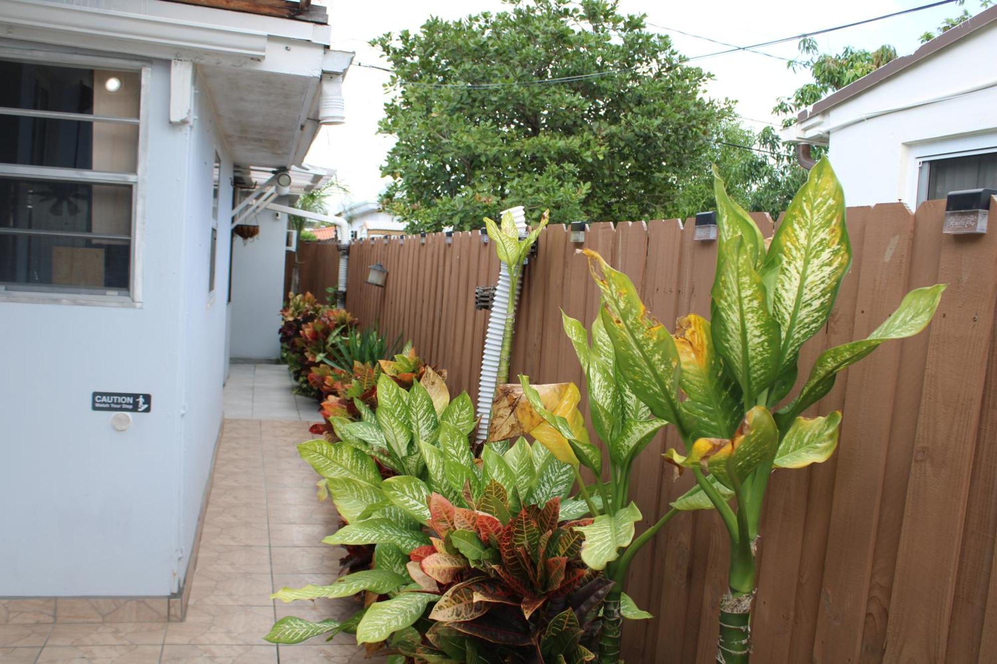 Main House 3 Bed 2 Bath & Guest House 1 Bed 1 Bath 迈阿密 外观 照片
